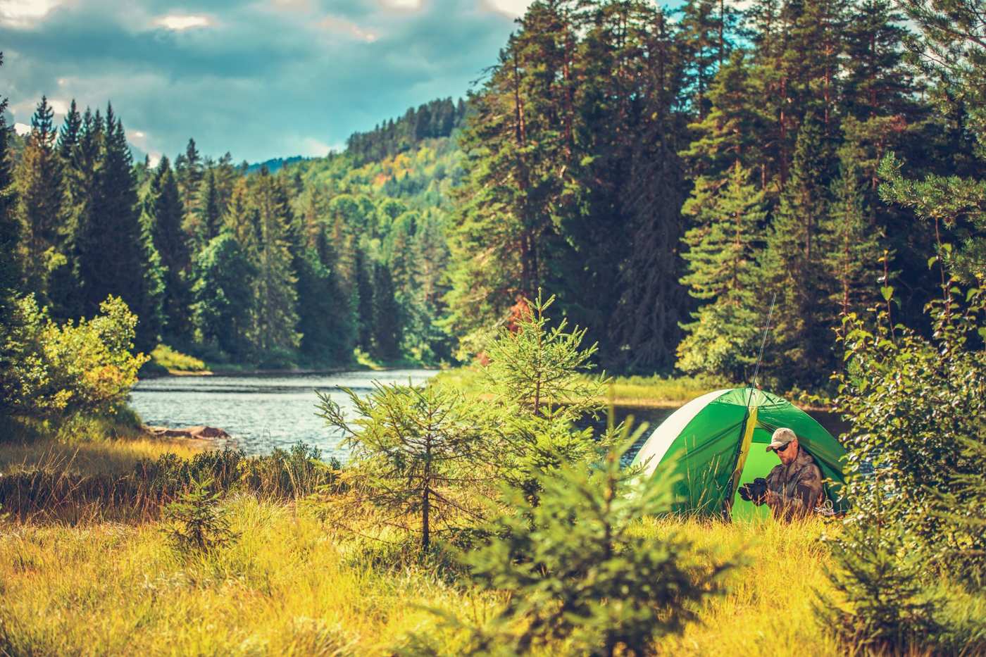 Remote wilderness camp beside a river surrounded by pine forest
